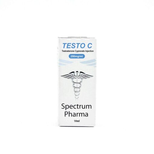 testo c 1.jpeg